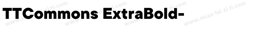 TTCommons ExtraBold字体转换